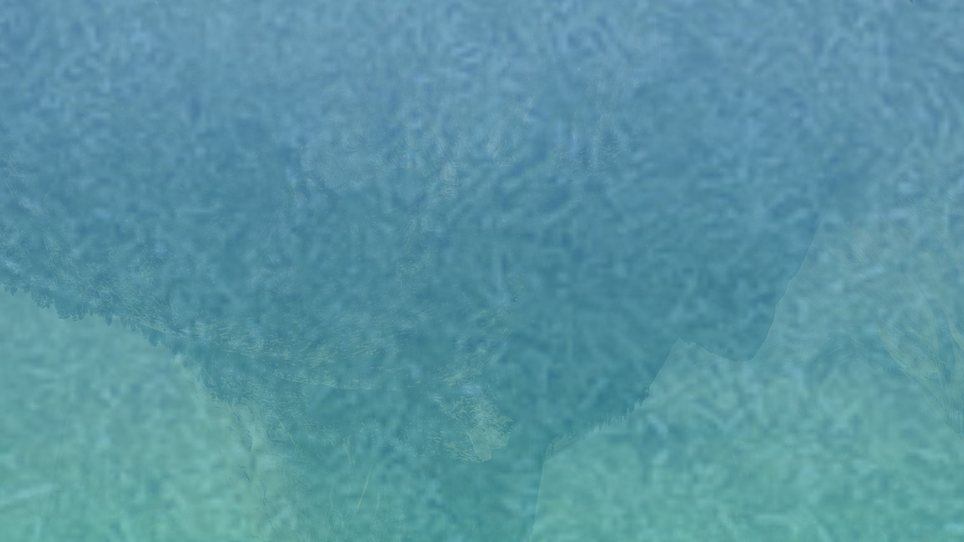 在线网页使用电话轰炸机